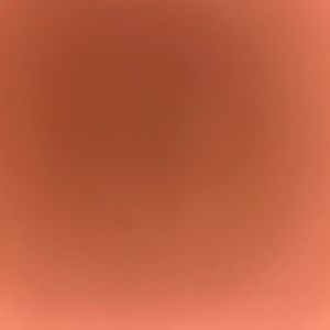 Meet your Posher, Meghan